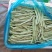 精品白豆角！大量上市