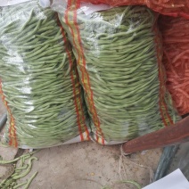 产地大量上市精品架豆王！