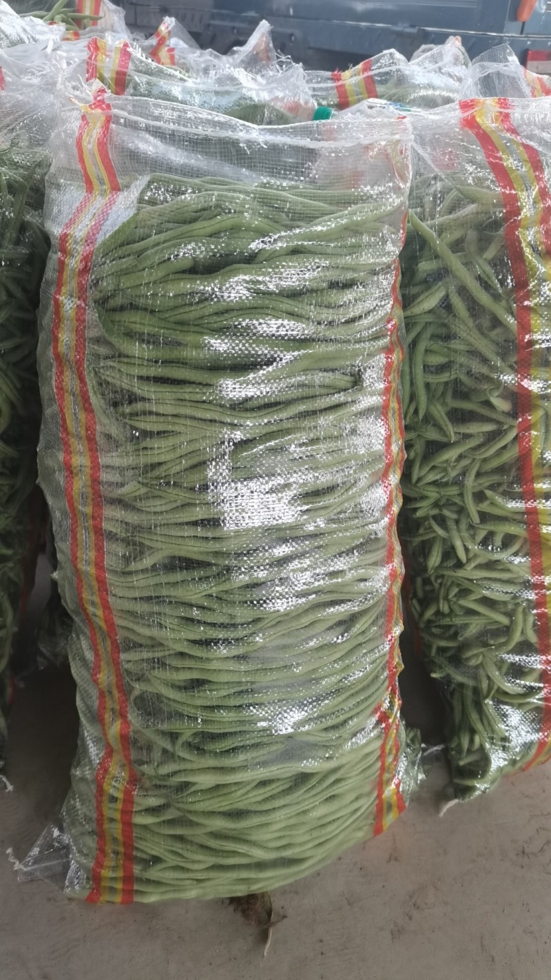 产地大量上市精品架豆王！
