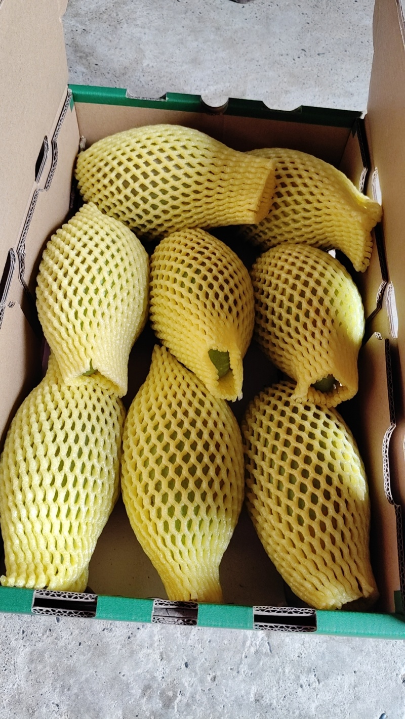 香芝上市有贵妃，金皇，台农，桂七大量供应