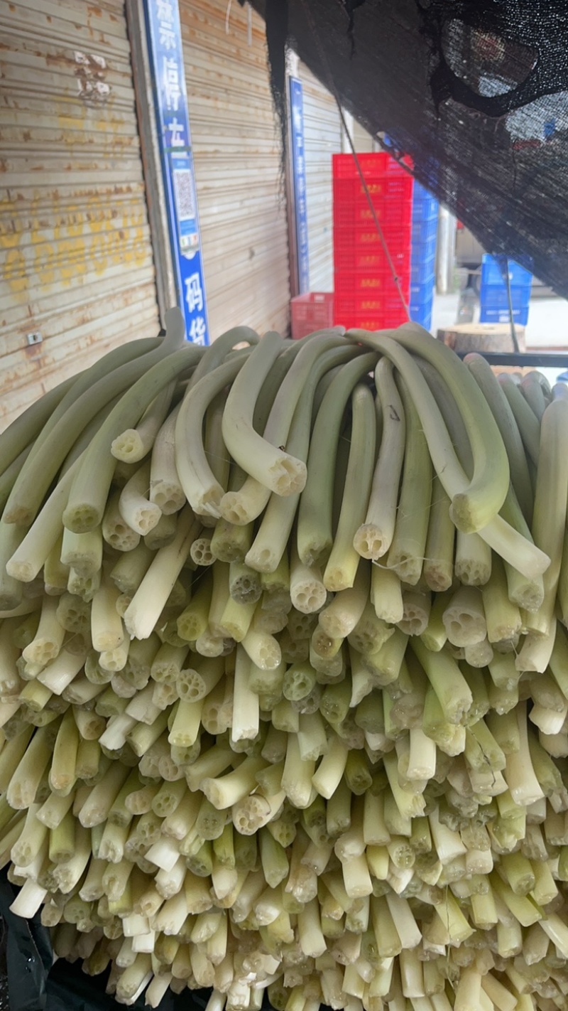 芡实杆