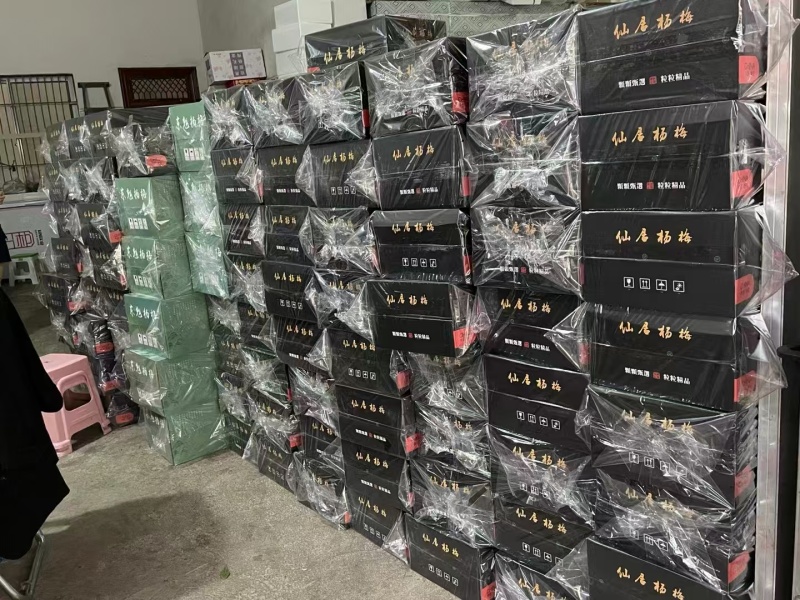 195元/件