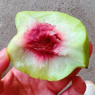 赣南鹰嘴桃