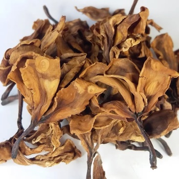 鸡蛋花当季新品，颜色金黄香味十足，符合药典规格。有大