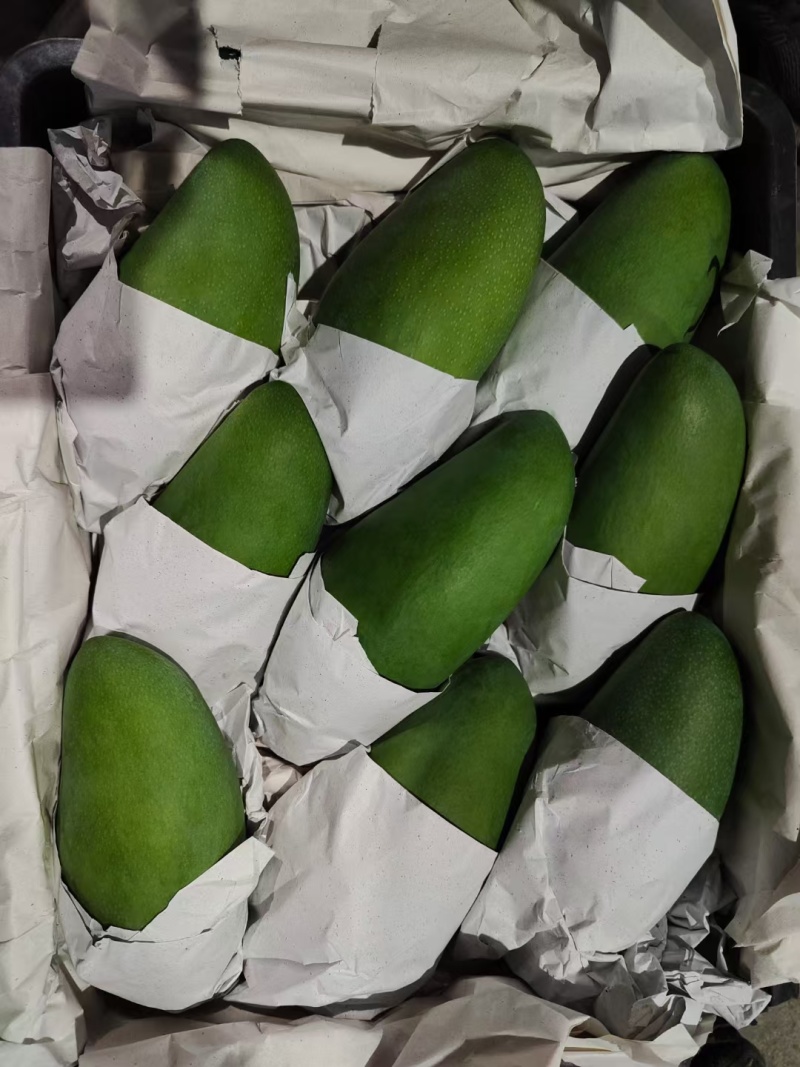 大青芒果