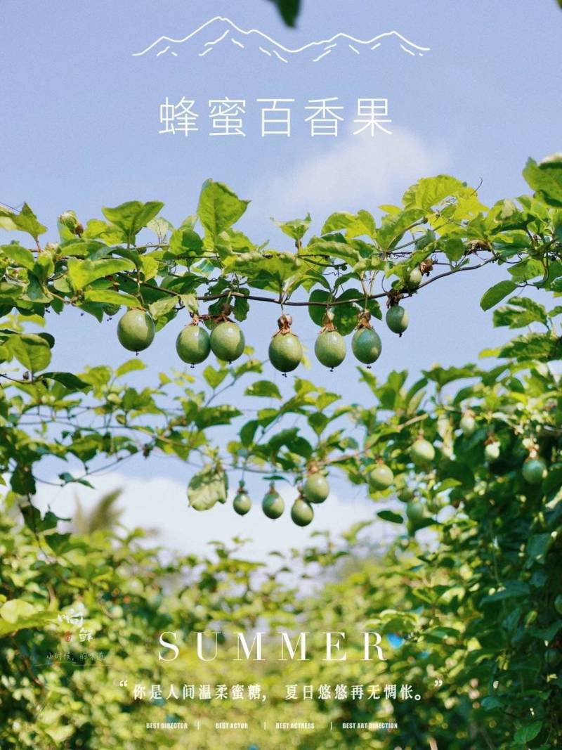 百香果