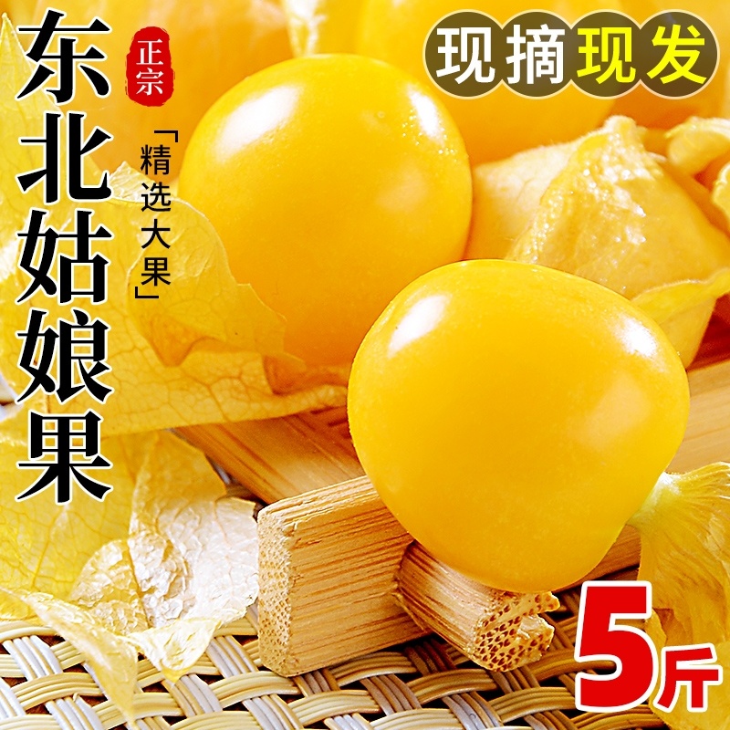 菇娘果，姑娘果，灯笼果，黄金豆