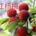 大个甜红杨梅，广东省普宁市基地直接发货，欢迎您随时联系！