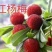 大个甜红杨梅，广东省普宁市基地直接发货，欢迎您随时联系！