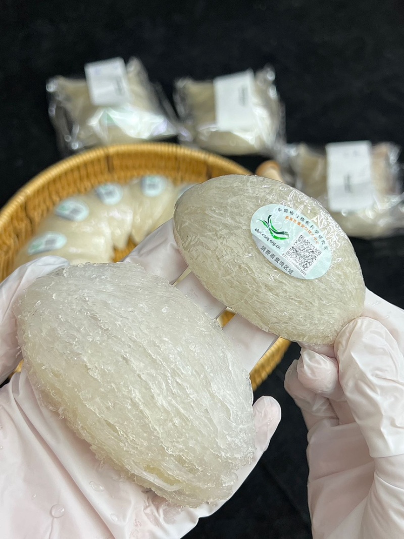 马来西亚精品大盏，肉质白，丝丝分明，泡发很赞