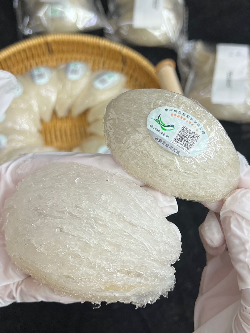 马来西亚精品大盏，肉质白，丝丝分明，泡发很赞