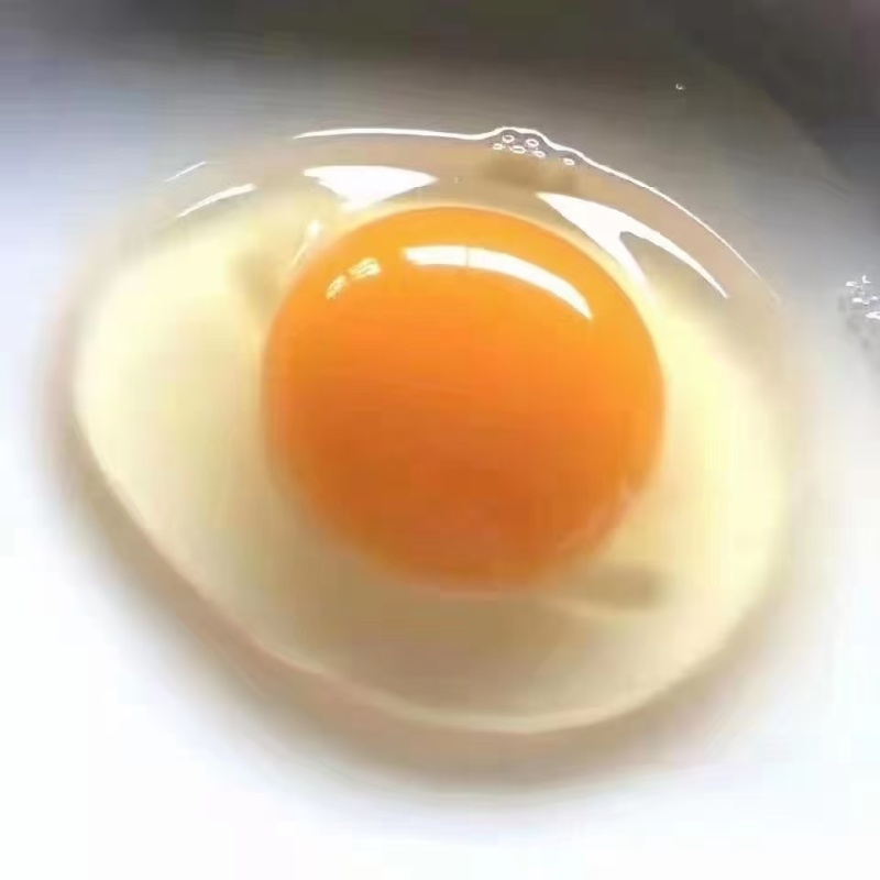 【推荐】湖南土鸡蛋产地直发一手货源品质保证量大价优