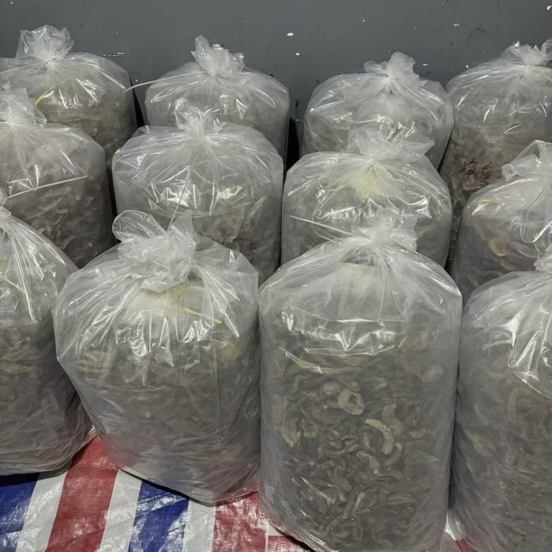 水蛭干品菲牛蛭冻干医蛭冻干宽体金线蛭冻干蚂蟥干