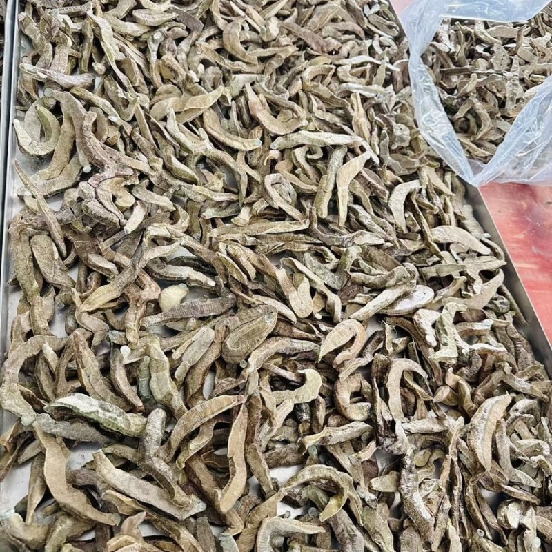 水蛭干品菲牛蛭冻干医蛭冻干宽体金线蛭冻干蚂蟥干