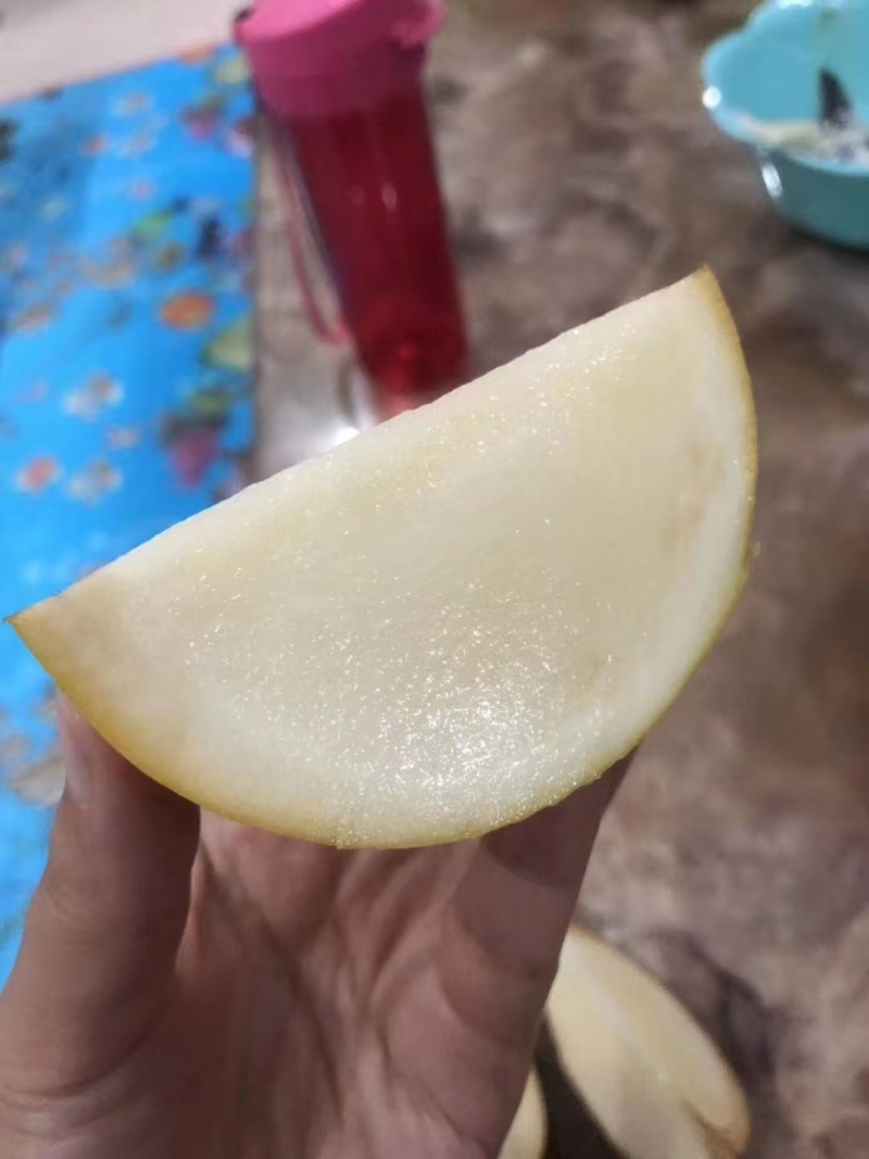 超大黄晶果苗