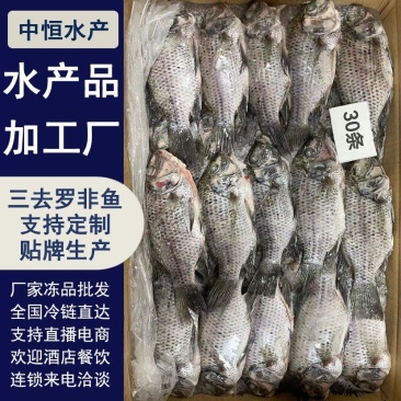 三去罗非鱼8斤30条装新鲜速冻罗非鱼酒店烧烤店餐饮商