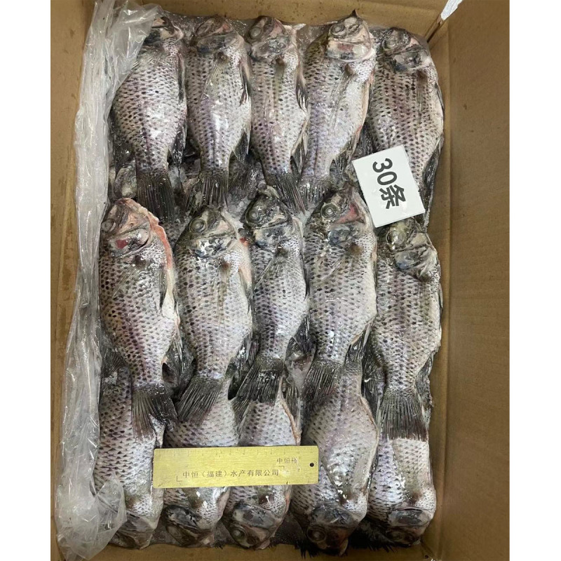 三去罗非鱼8斤30条装新鲜速冻罗非鱼酒店烧烤店餐饮商