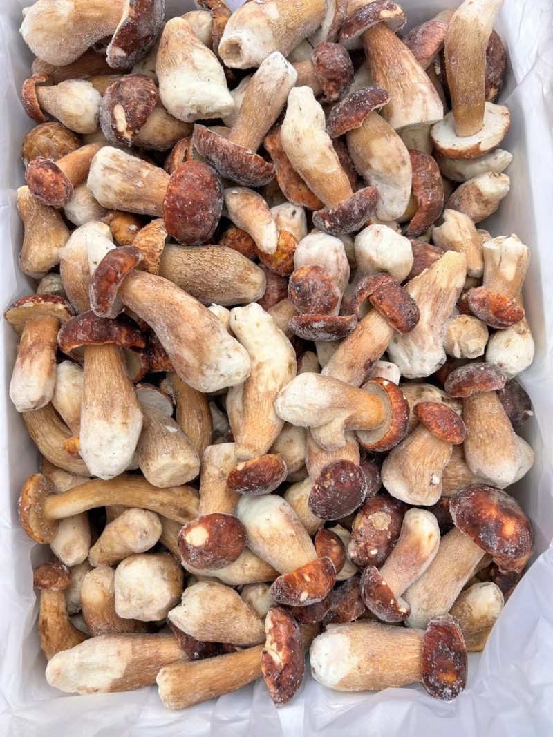 云南冰冻美味牛肝菌，产地直发，都是批发价有意向的老板联系