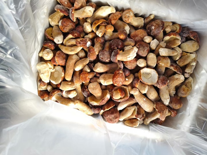 云南冰冻美味牛肝菌，产地直发，都是批发价有意向的老板联系