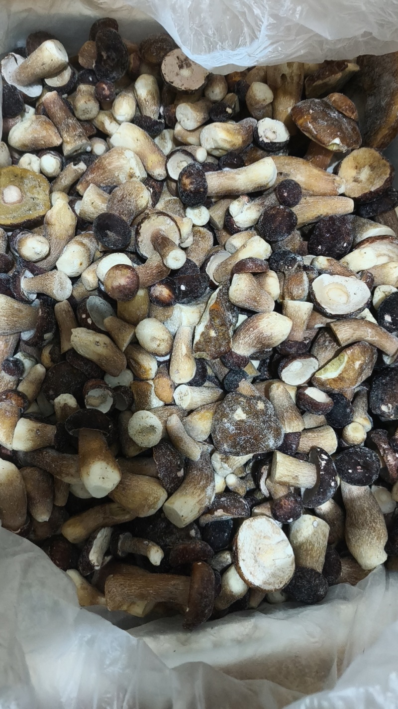 云南冰冻美味牛肝菌，产地直发，都是批发价有意向的老板联系