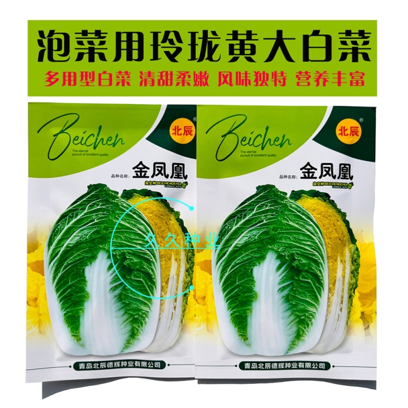金凤凰黄心大白菜种子绿叶黄芯早熟高产抗病商品性