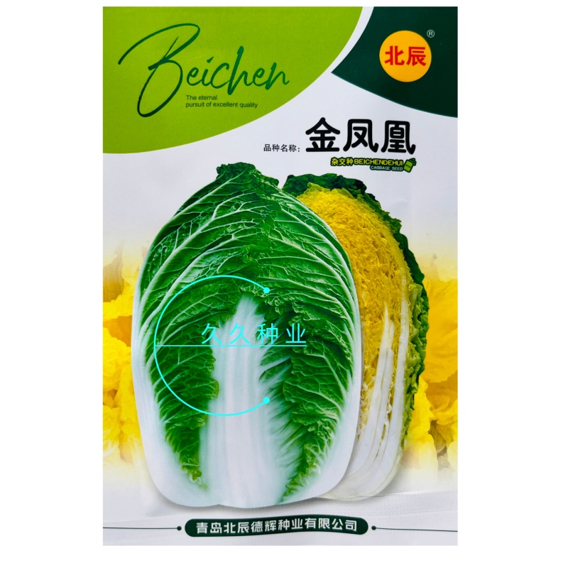 金凤凰黄心大白菜种子绿叶黄芯早熟高产抗病商品性