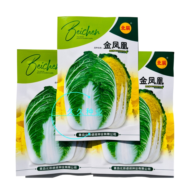 金凤凰黄心大白菜种子绿叶黄芯早熟高产抗病商品性