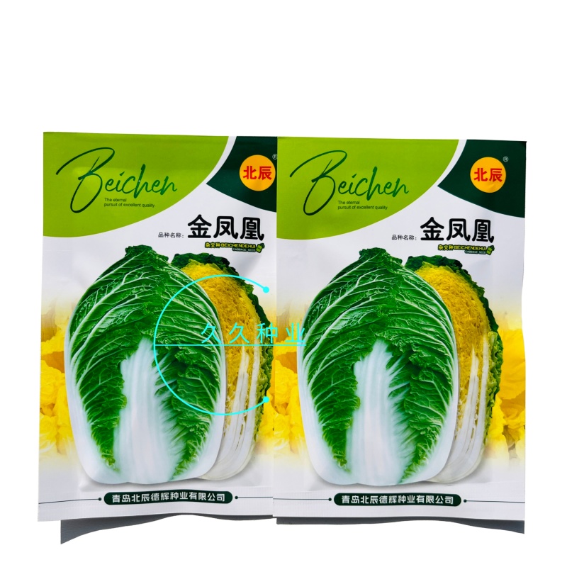 金凤凰黄心大白菜种子绿叶黄芯早熟高产抗病商品性