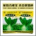 北辰青秀青梗菜种子上海青种籽高产耐热耐湿四季小青菜小油菜