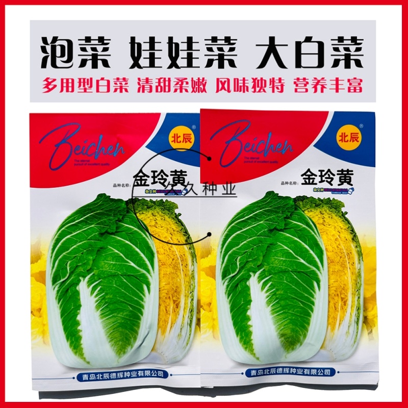 金玲黄黄心白菜种子口感好绿叶黄芯早熟高产商品性