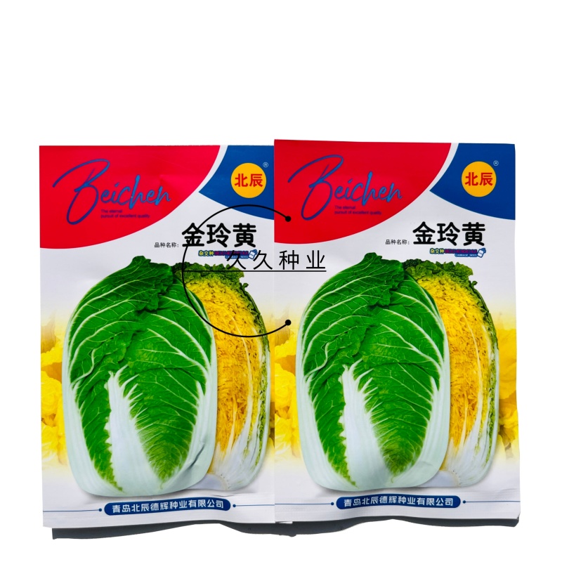金玲黄黄心白菜种子口感好绿叶黄芯早熟高产商品性