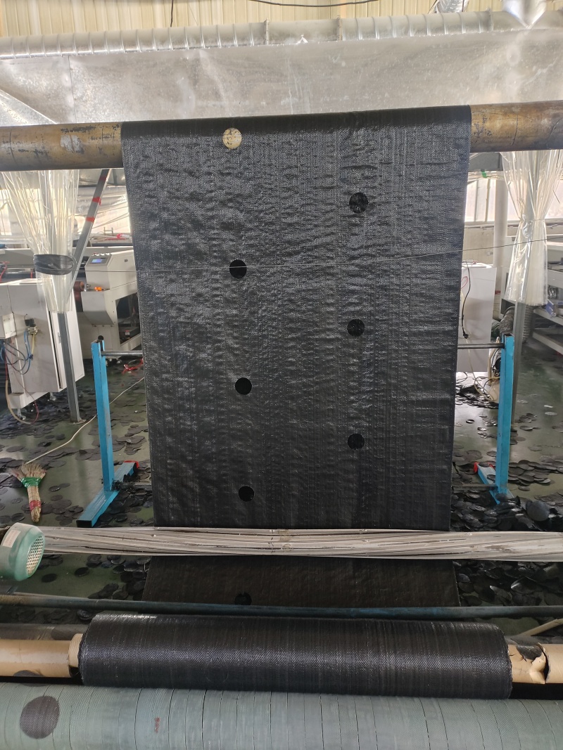 打孔防草布，除草布pe除草布，盖草布果园茶园防草布厂家供货