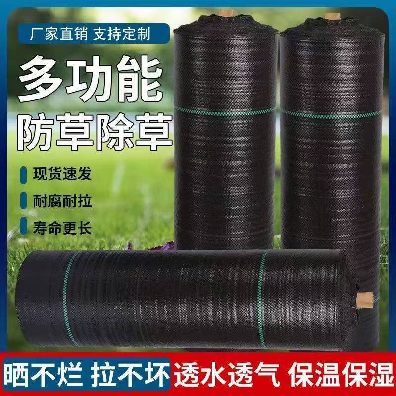打孔防草布，除草布pe除草布，盖草布果园茶园防草布厂家供货