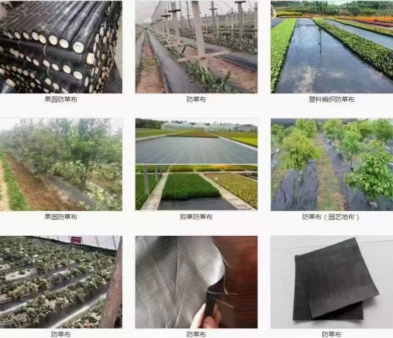 打孔防草布，除草布pe除草布，盖草布果园茶园防草布厂家供货