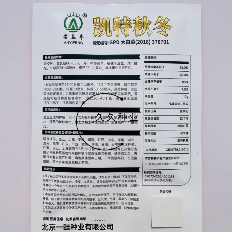 凯特秋冬杂交黄心大白菜种子秋季种黄心大白菜种子