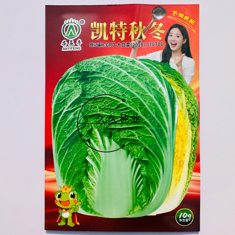 凯特秋冬杂交黄心大白菜种子秋季种黄心大白菜种子