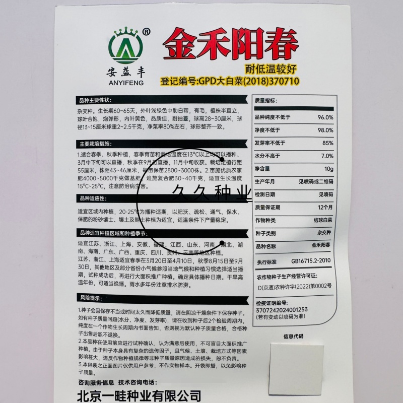 金禾阳春杂交黄心大白菜种子秋季种黄心大白菜种子