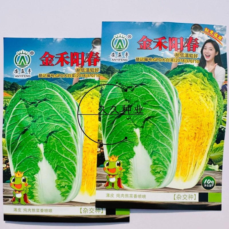 金禾阳春杂交黄心大白菜种子秋季种黄心大白菜种子