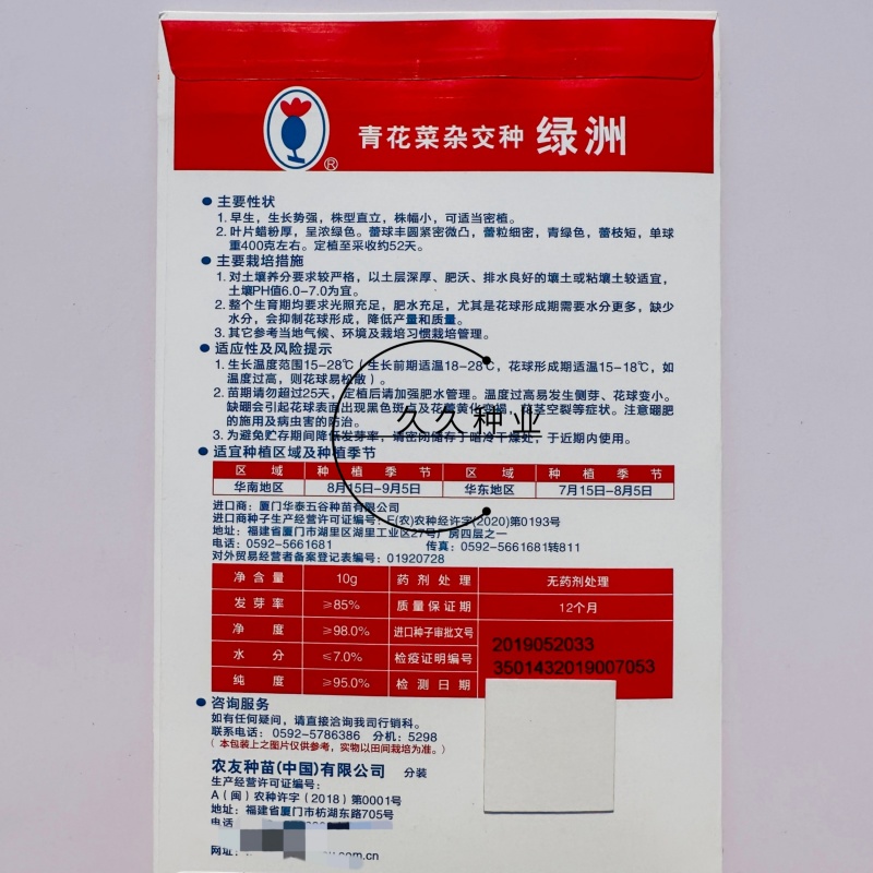 绿洲西兰花种子中熟花椰菜种高产抗病耐寒有机青花菜种子