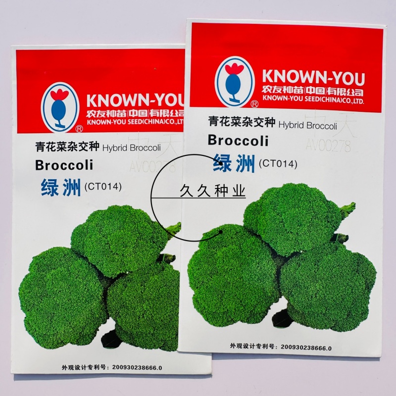 绿洲西兰花种子中熟花椰菜种高产抗病耐寒有机青花菜种子