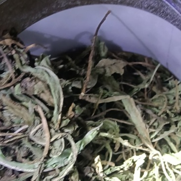 是大棚s自己种的***
