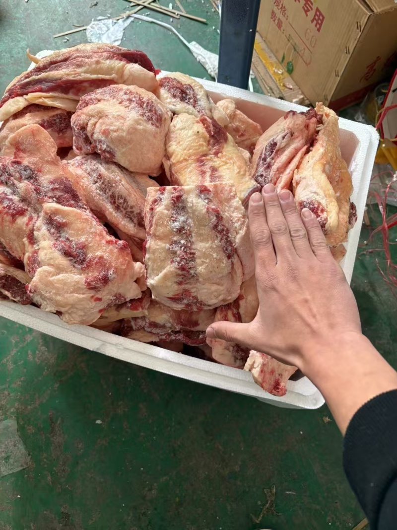 精品内胸口油