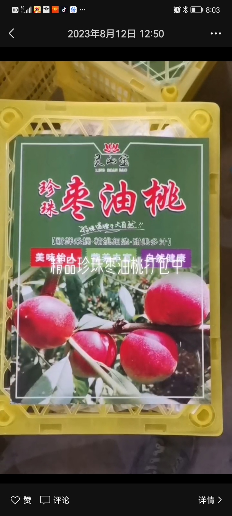 珍珠枣油大量有货
