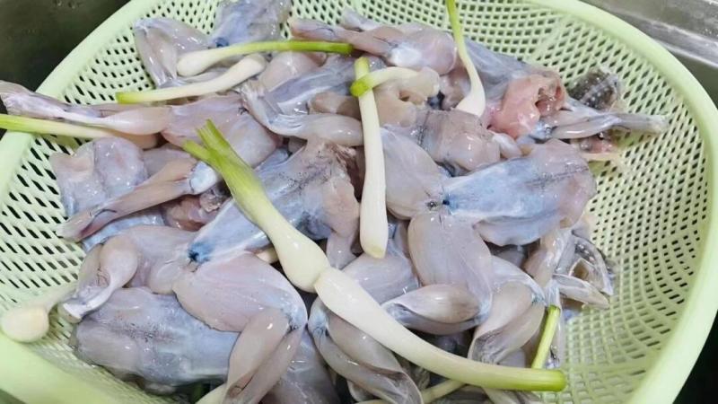 免浆牛蛙来自大自然的馈赠|||冻品免浆蛙肉！保质期长！鲜嫩可
