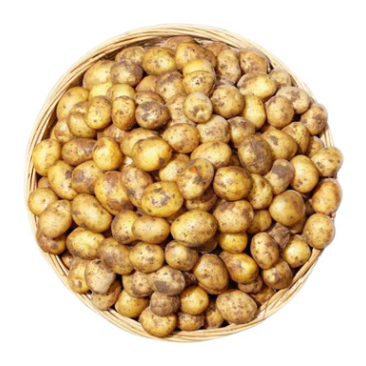 精品土豆