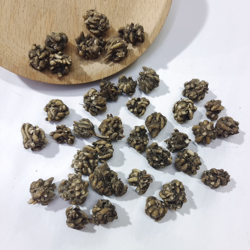 猫爪草黄皮带爪大颗粒猫爪草1公斤起批24小时发货