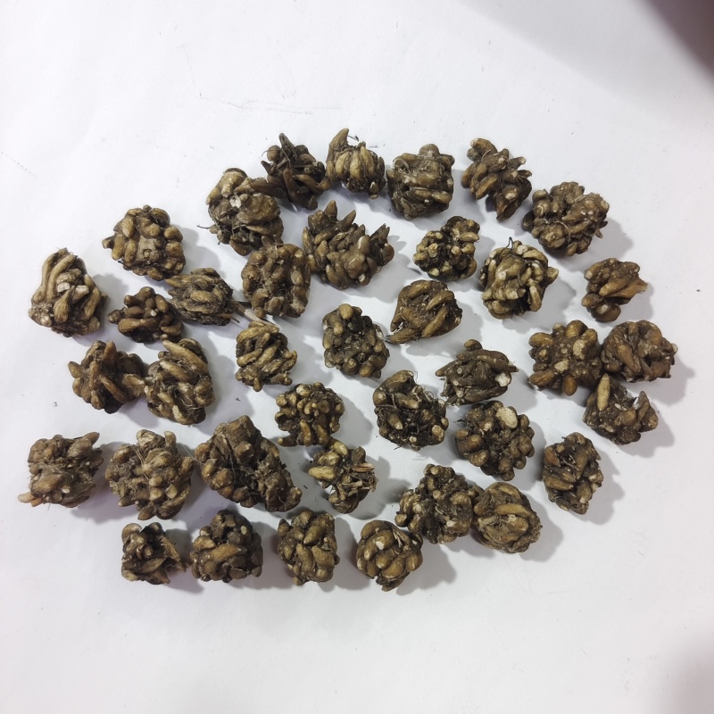猫爪草黄皮带爪大颗粒猫爪草1公斤起批24小时发货