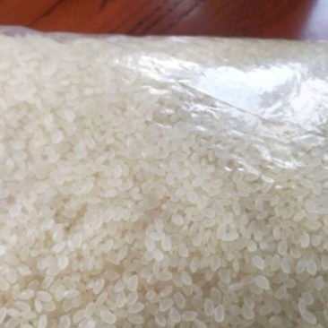 珍珠米