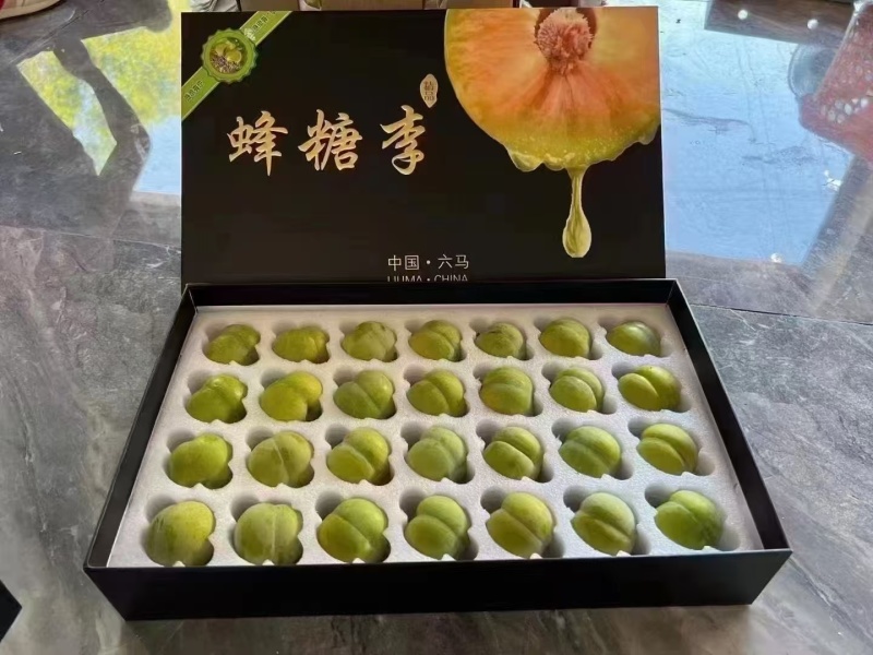 镇宁六马蜂糖李