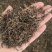 （热销）威灵仙灵仙实物拍摄量多从优产地大货中药材批发零